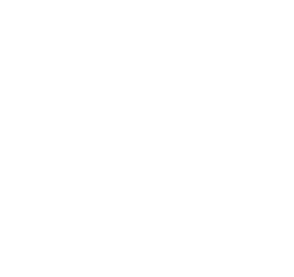 BELLAMICA logo
